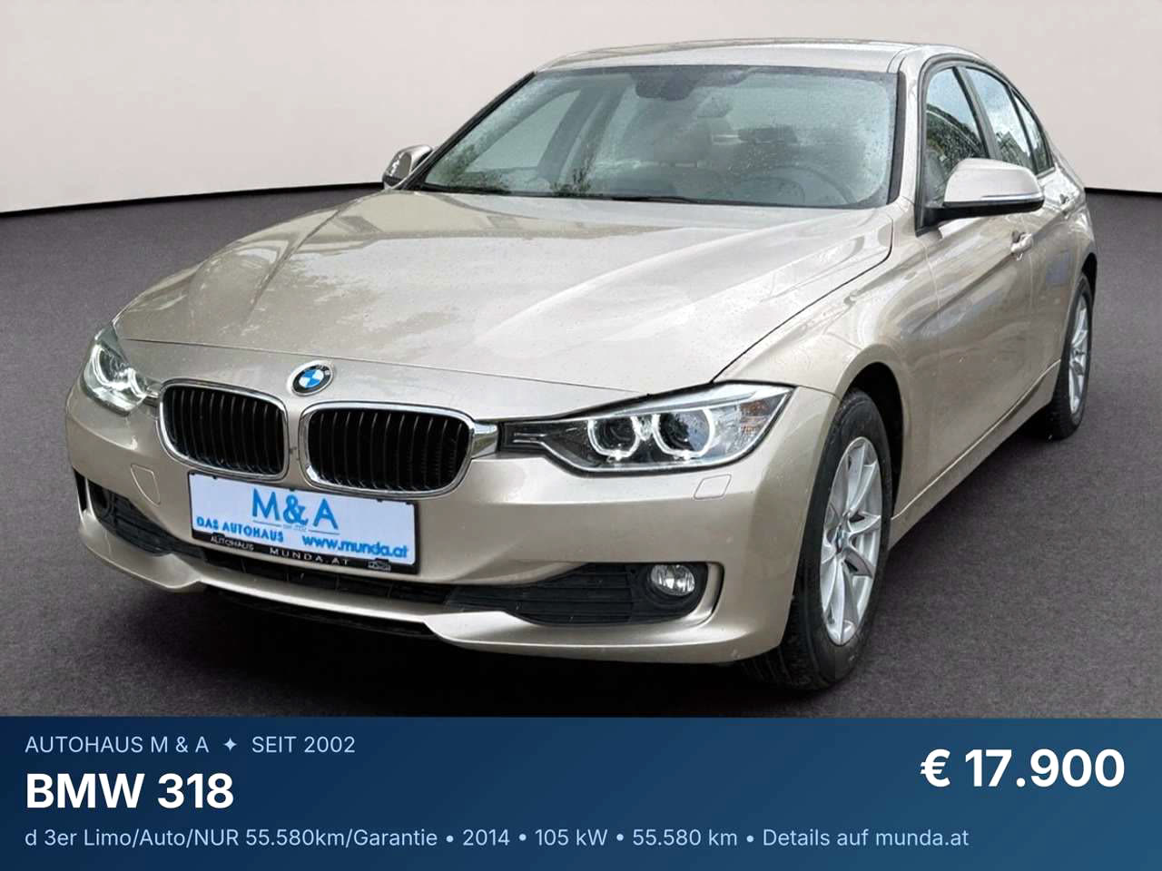 BMW 318