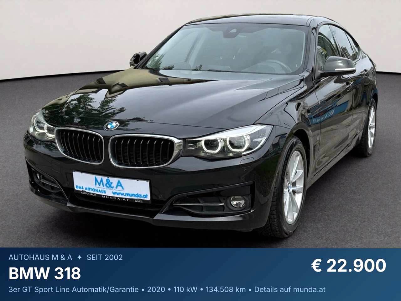 BMW 318